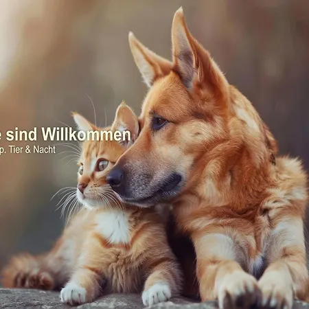 珀尔岛上酒店 Gollwitz