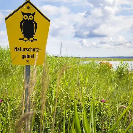 酒店 珀尔岛上酒店